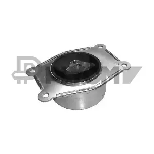 P480487 PLYOM