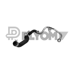 P777068 PLYOM