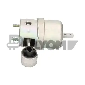 P462622 PLYOM