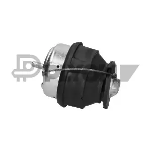 P250052 PLYOM