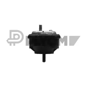 P200937 PLYOM