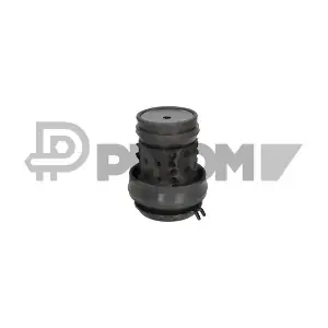P776203 PLYOM