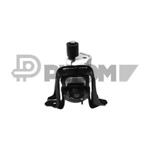 P756382 PLYOM