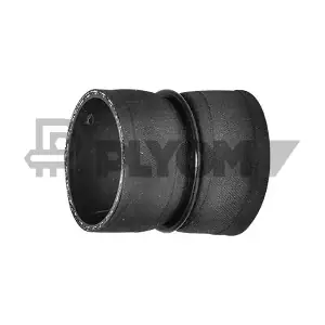 PLYOM P036781