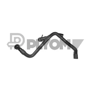 P753636 PLYOM