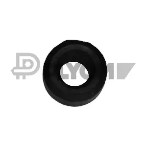 PLYOM P010169