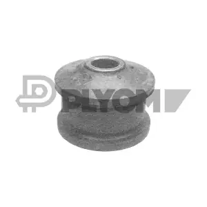 P080926 PLYOM