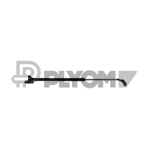 773249 PLYOM