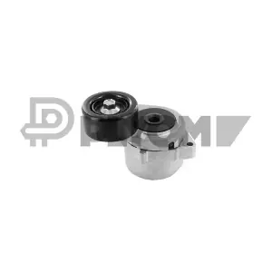 P772229 PLYOM