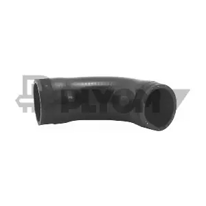 P206028 PLYOM