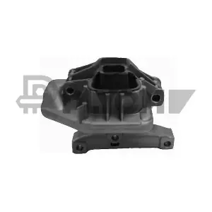 P756004 PLYOM