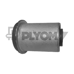 PLYOM P755393