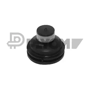 PLYOM P021349