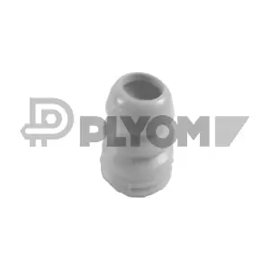 P762202 PLYOM