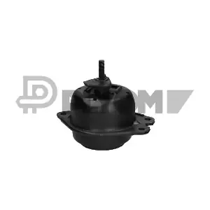P756195 PLYOM