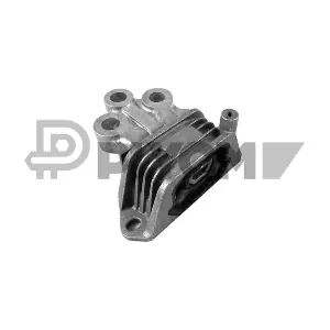 P759053 PLYOM