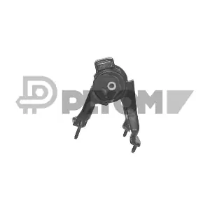 P772005 PLYOM