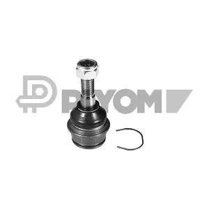 PLYOM P755023