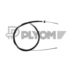 P038487 PLYOM
