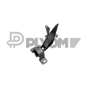 P021053 PLYOM