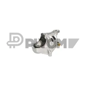P776162 PLYOM
