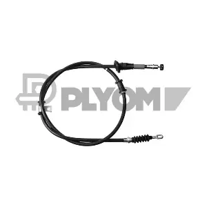 P761808 PLYOM