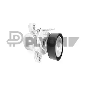P751840 PLYOM