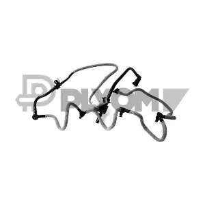 P772063 PLYOM