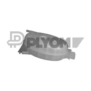 P021063 PLYOM