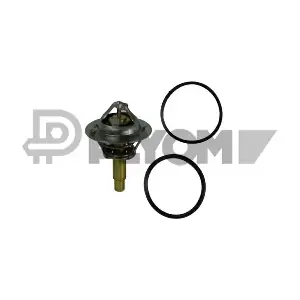 P770205 PLYOM