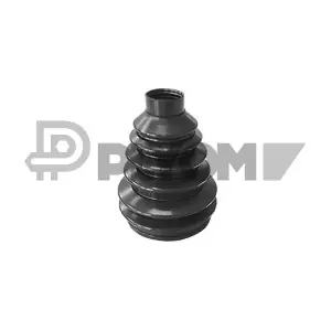 P021425 PLYOM