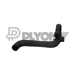 P466881 PLYOM