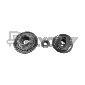P771912 PLYOM