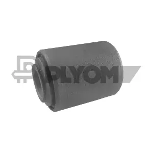 P020076 PLYOM