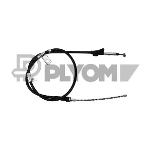 P168323 PLYOM