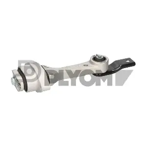 P460906 PLYOM