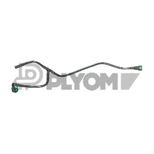 P777555 PLYOM