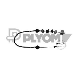P010076 PLYOM