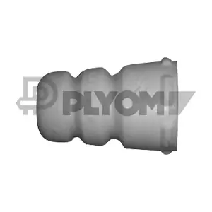 P462443 PLYOM