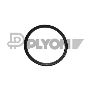 PLYOM P751979