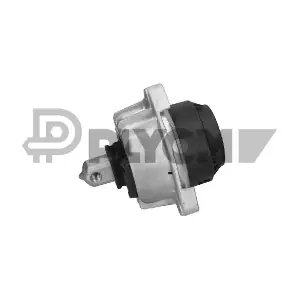 PLYOM P769972