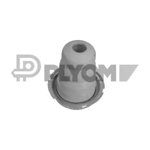 P769910 PLYOM