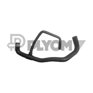 P031063 PLYOM