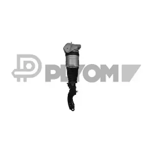 P752019 PLYOM