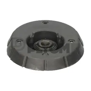 PLYOM P755808