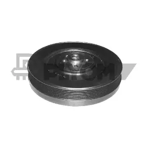 PLYOM P460958