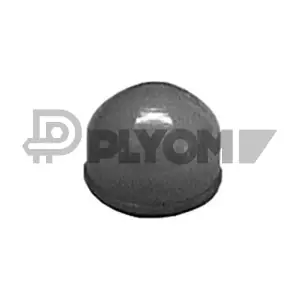 P010615 PLYOM