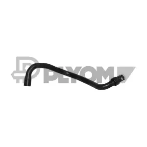 P086760 PLYOM