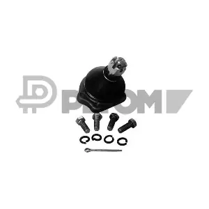 P755019 PLYOM