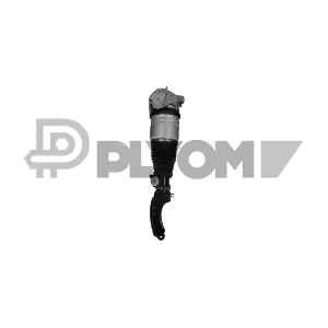P752016 PLYOM